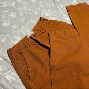 Everlane Arc Canvas Pants